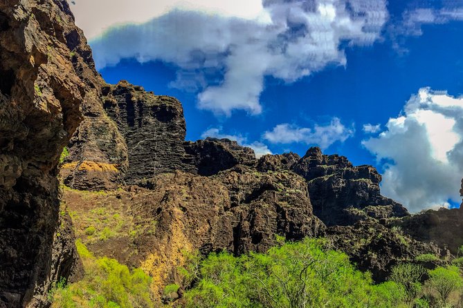 Mount Teide and Teno Country Park Private Tour - Teno Country Park: Tenerife’s rugged western side