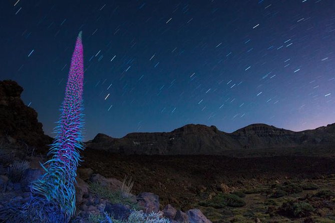 Mount Teide Night Tour: Stargazing, Dinner and Hotel Pick up - Dinner in Vilaflor at Bodega Reverón