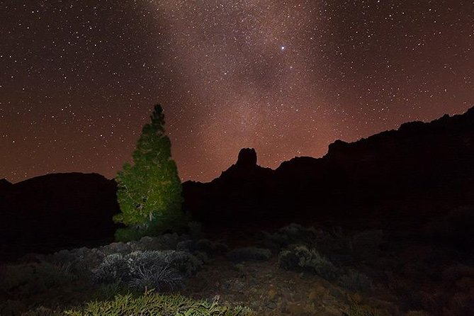 Mount Teide Night Tour: Stargazing, Dinner and Hotel Pick up - Moonlight, clouds, and cold change the experience