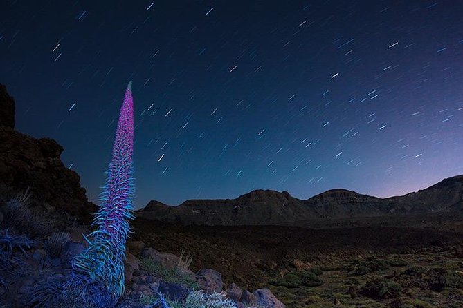 Mount Teide Night Tour: Stargazing, Dinner and Hotel Pick up - Is $93.93 good value?