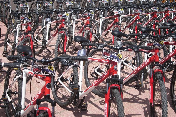 Mountain Bike Rental Tenerife - Why delivery adds real value