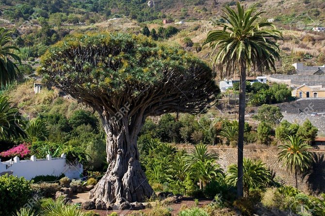 Mt. Teide and Masca Valley Tour in Tenerife - How much of the day is spent on the coach?