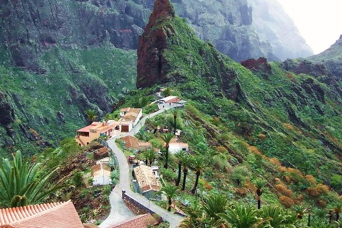 Mt. Teide and Masca Valley Tour in Tenerife - Climbing toward Teide National Park