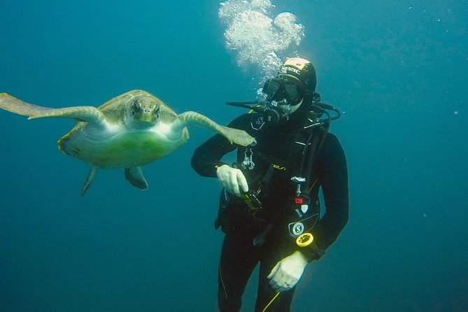 OPEN WATER CERTIFICATION - Become an autonomous diver up to 18m ! - From online theory to the Atlantic