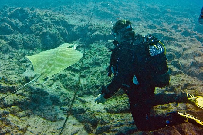OPEN WATER CERTIFICATION - Become an autonomous diver up to 18m ! - What the practical course is designed to teach