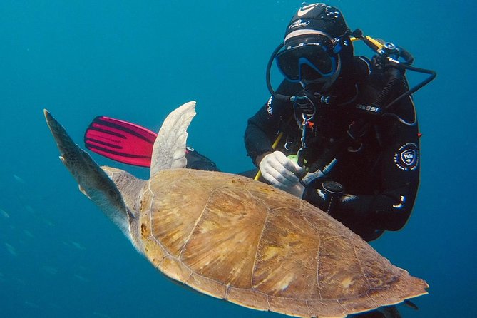 OPEN WATER CERTIFICATION - Become an autonomous diver up to 18m ! - The $722.78 price: what you are paying for