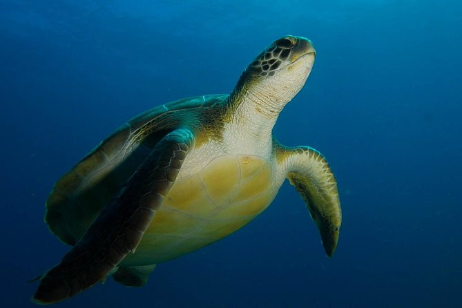 PADI Advanced Open Water Diver Course (AOWD) - 2 days - What the two-day course is really for