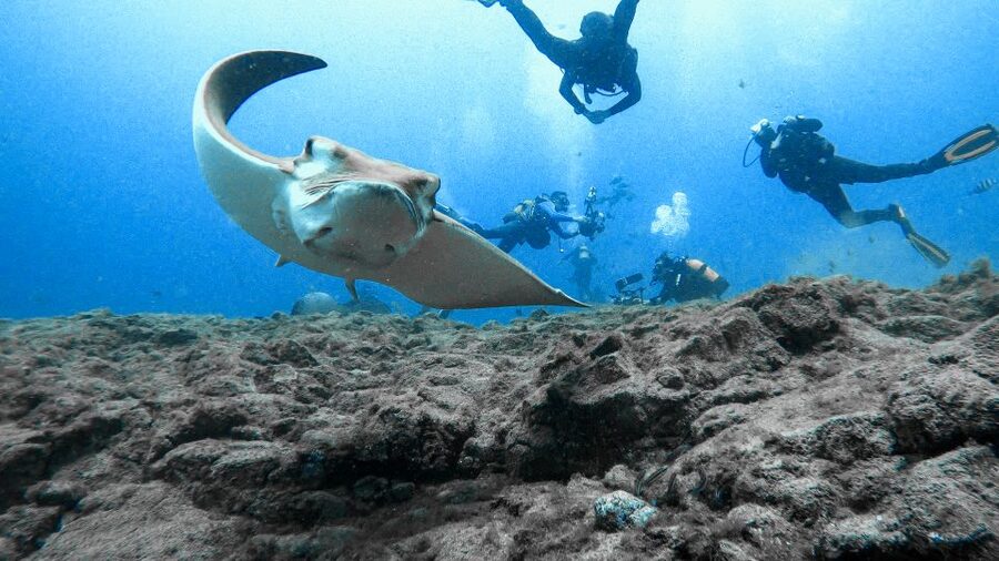 PADI Open Water Course in 3 Days - The three-day schedule and your holiday plans