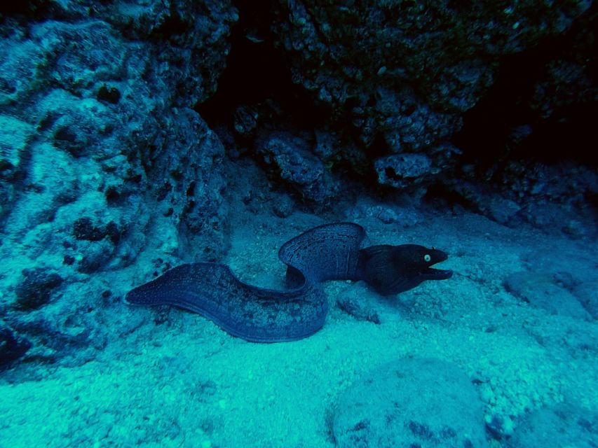 PADI Open Water Course in 3 Days - What the $465 price really covers