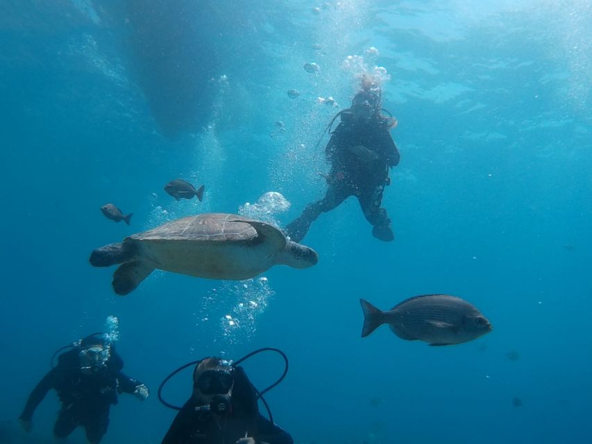 PADI Open Water Course in 3 Days - Why the PADI qualification matters