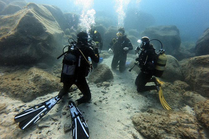 PADI Open Water Course in Costa Adeje - Starting with online study before your holiday sessions