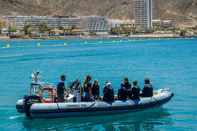 PADI Open Water course in Playa de las Americas - Who Will Get the Most From This Course