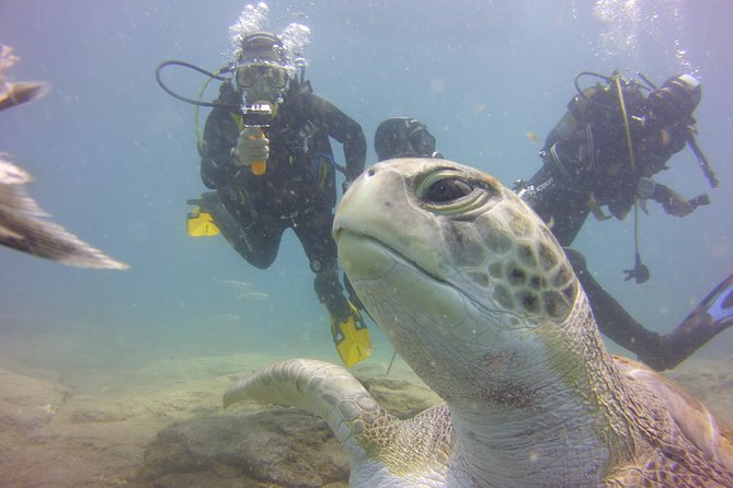 PADI Open Water Diver Course - Small groups and named instructors
