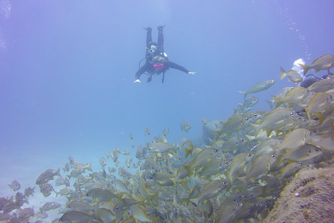 PADI Open Water Diver Course - What certification lets you do afterward