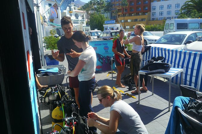 PADI Open Water Diver Course - Who should book this Ocean Trek course?