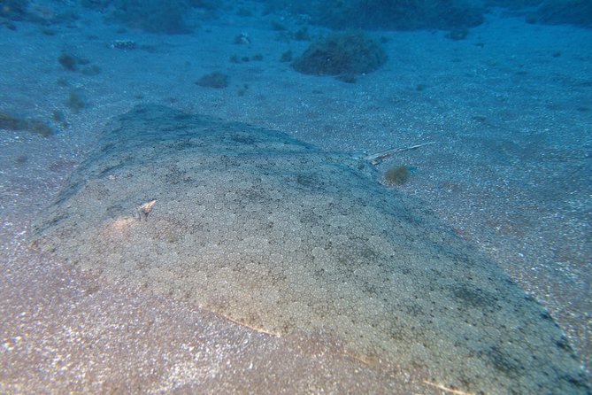 PADI Open Water Diver Course (OWD) - 2.5 days - What the 2.5-day course feels like