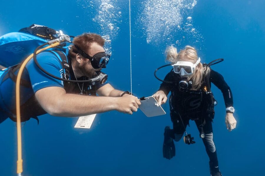 PADI Open Water Diving Course Tenerife - What the $494 price really includes