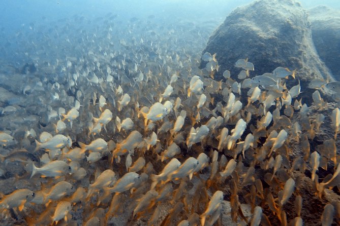 PADI Scuba Dive Course in Costa Adeje - What the Three Classroom Sections Add