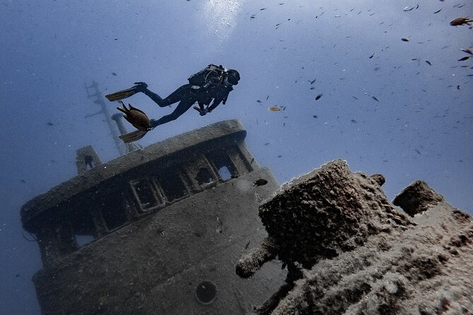 PADI Scuba Diving Courses in Tenerife: All Specialities Until Divemaster - Tenerife’s West Coast as a Training Ground