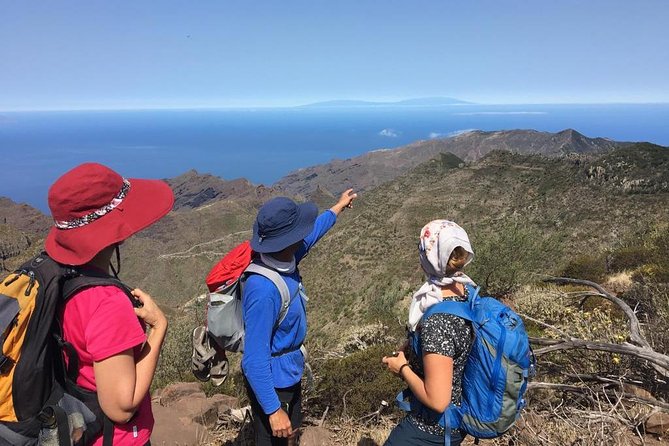 Panoramic route across the Teno rural Park in Tenerife - Key points to know before booking