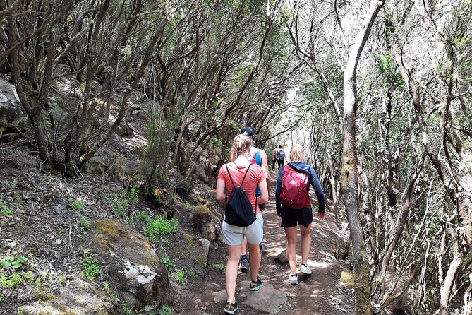 Panoramic route across the Teno rural Park in Tenerife - Old villages and the human side of Teno