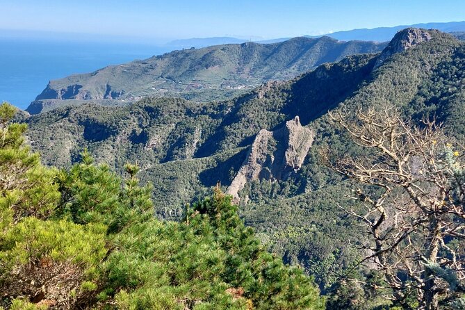 Panoramic route across the Teno rural Park in Tenerife - The optional stop for goat cheese, wine, and pastries