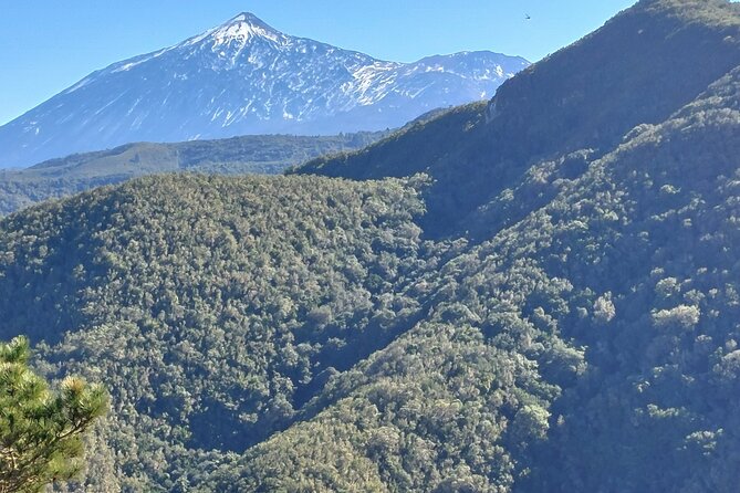 Panoramic route across the Teno rural Park in Tenerife - What the $113.84 price buys you