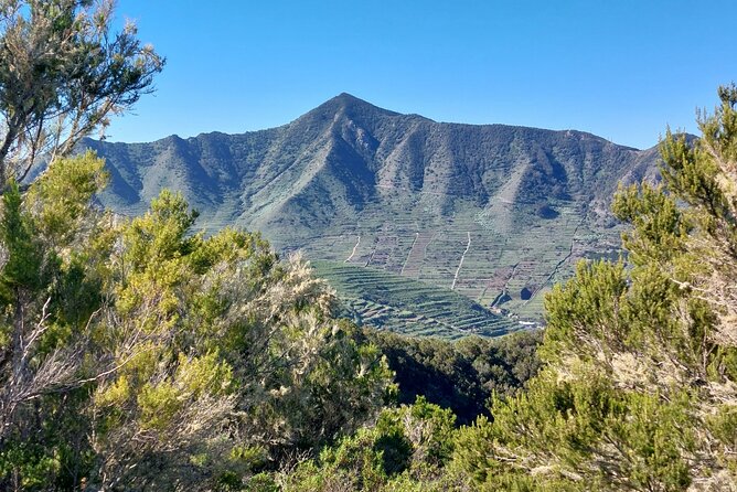 Panoramic route across the Teno rural Park in Tenerife - How Sergio’s guiding adds value