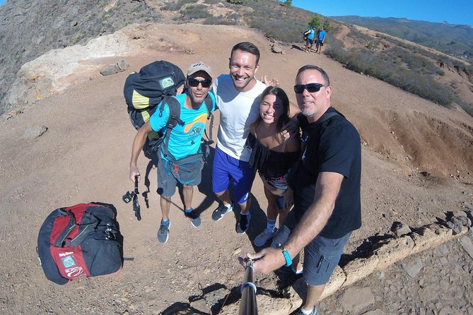 Paragliding Epic Experience in Tenerife with the Spanish Champion Team - Weather, cancellations, and timing
