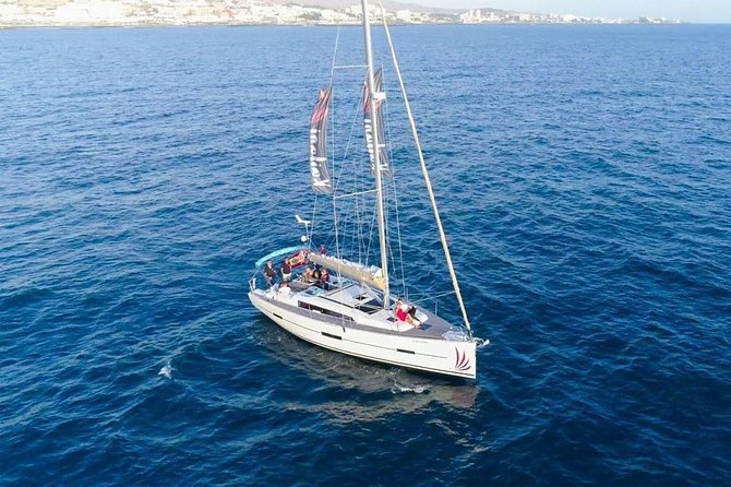 Premium All Inclusive Whale & Dolphin Watching Experience - Setting out from Puerto Colón
