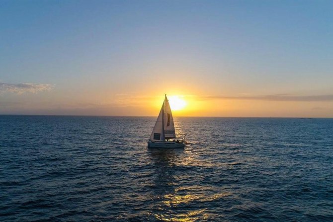 Premium All Inclusive Whale & Dolphin Watching Experience - What the three-hour route feels like