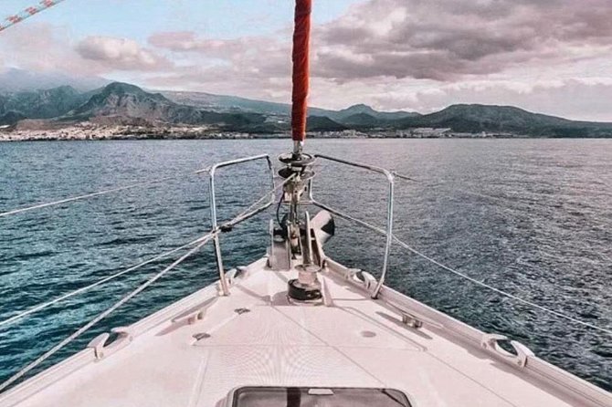 Premium All Inclusive Whale & Dolphin Watching Experience - Swimming and snorkeling in the Atlantic