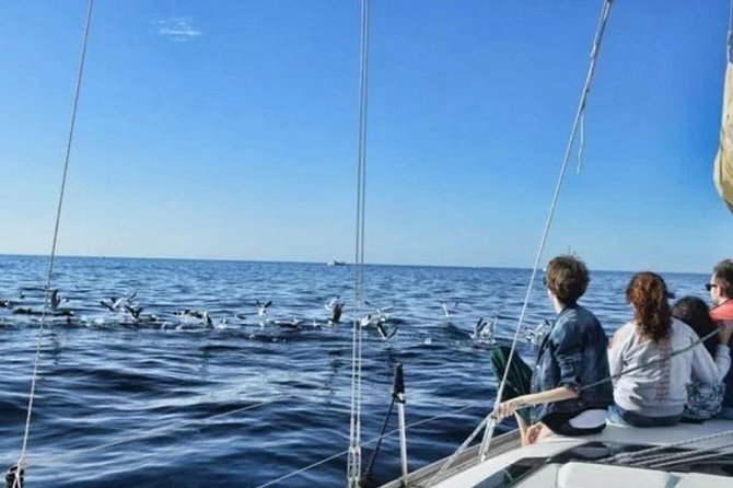 Premium Yacht Private Charter - What the $632.66 price really means