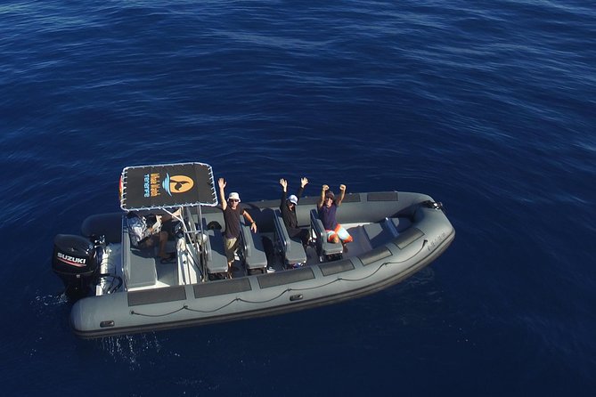 Private 2 hour Whale Watching Tour - Key points to know before booking