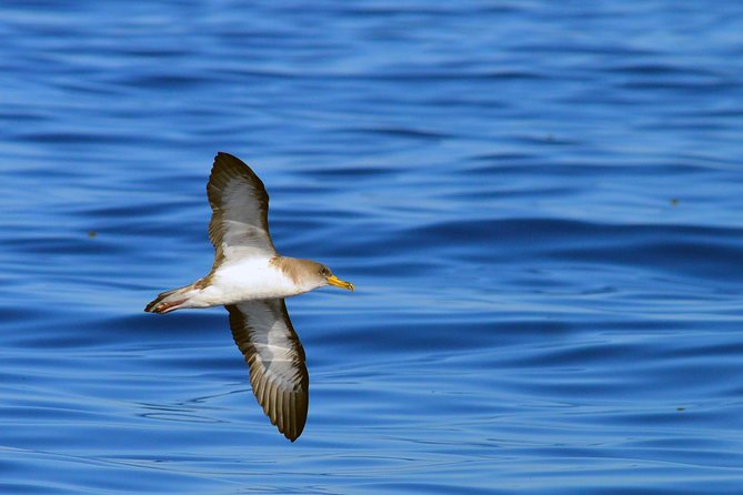 Private 2 hour Whale Watching Tour - Photos after the boat ride