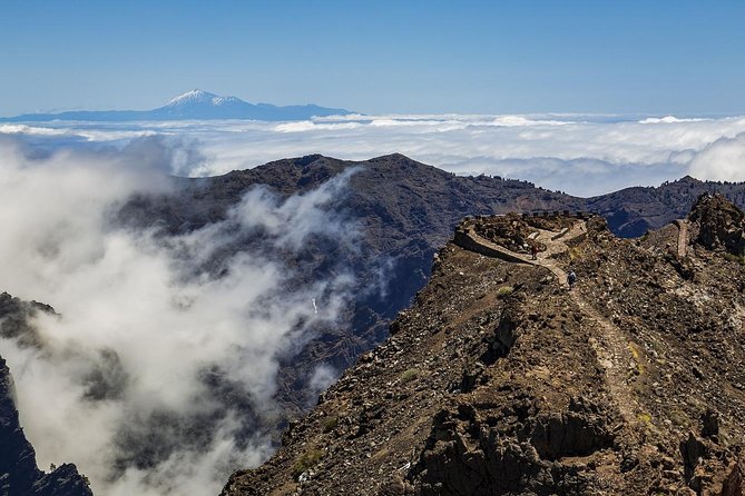 Private 8 hours Tour to El Teide from Tenerife Hotel with driver/guide - Entering Teide National Park and its volcanic world