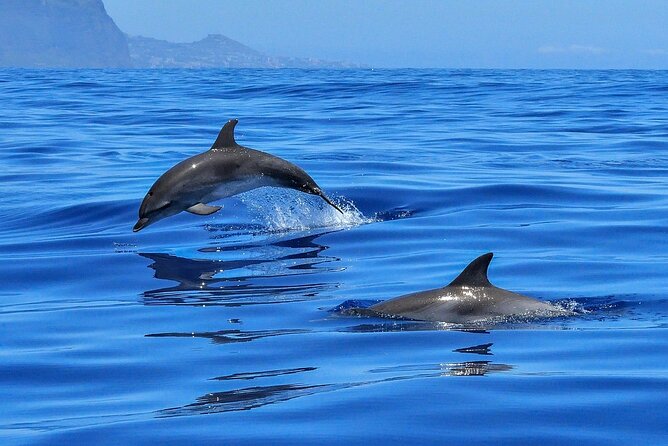 Private boat tour - Who will enjoy this private cruise most?