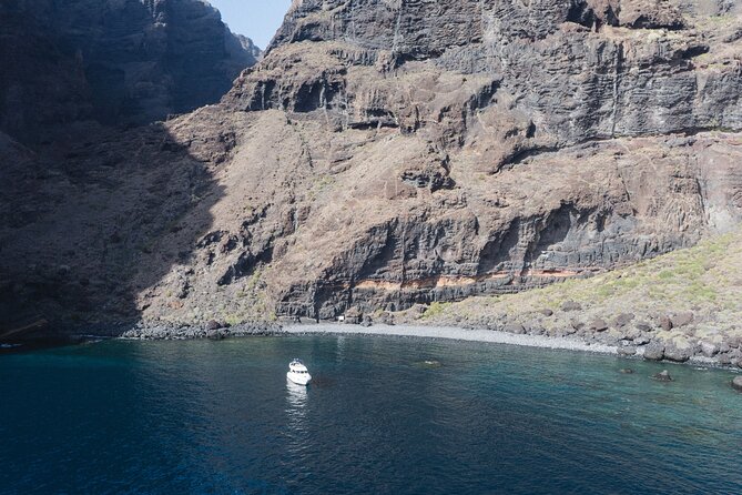 Private Boat Tour on Royal Ocean Yacht, Tenerife - Open-water wildlife watching, with realistic expectations