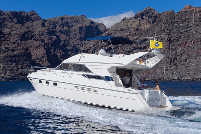 Private Boat Tour on Royal Ocean Yacht, Tenerife - What the yacht offers during three hours