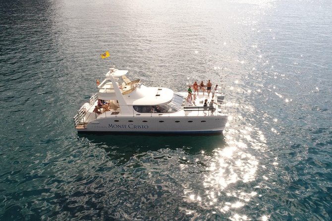 Private Catamaran Charter with Transfer, Buffet and Snorkeling - Watching whales and dolphins along Tenerife’s coast