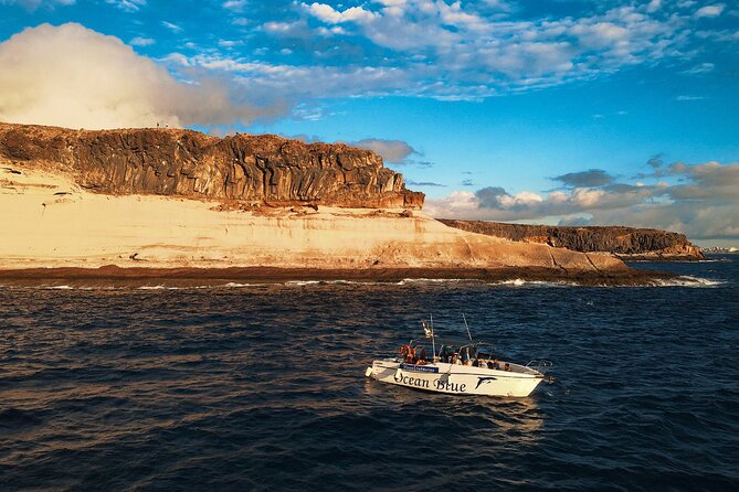 private charter 3 Hours Whale Encounter puerto colon adeje - Swimming and snorkeling near turtle bay