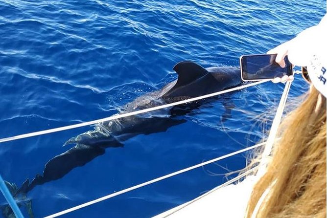 Private Charter in Tenerife south max 7 people - Weather and Cancellation Details