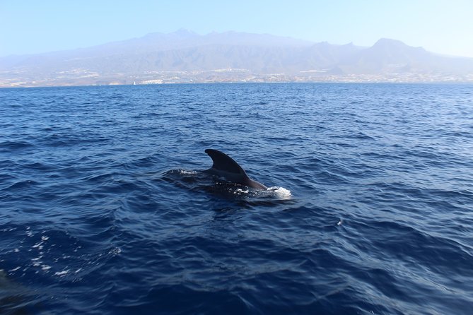 Private Charter in Tenerife south max 7 people - Why Seven Passengers Makes a Difference