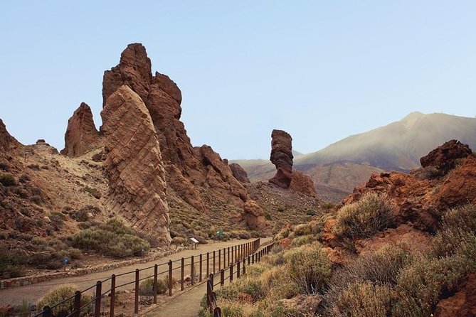 Private Excursions For Cruise Ship Passengers - From Santa Cruz port to Tenerife’s high country