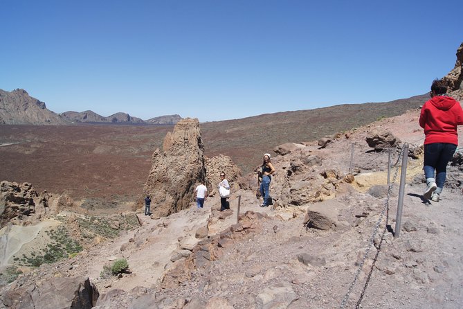 Private Excursions For Cruise Ship Passengers - Hijuela del Botanico and the dragon tree