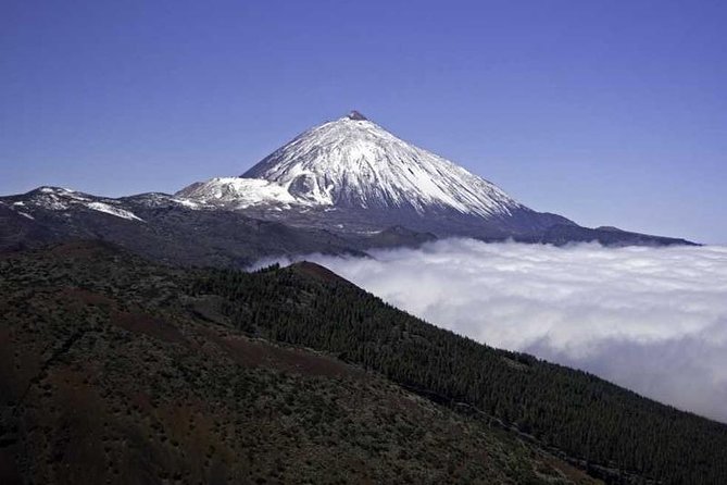 Private Excursions For Cruise Ship Passengers - Mirador de Chipeque and the Orotava Valley