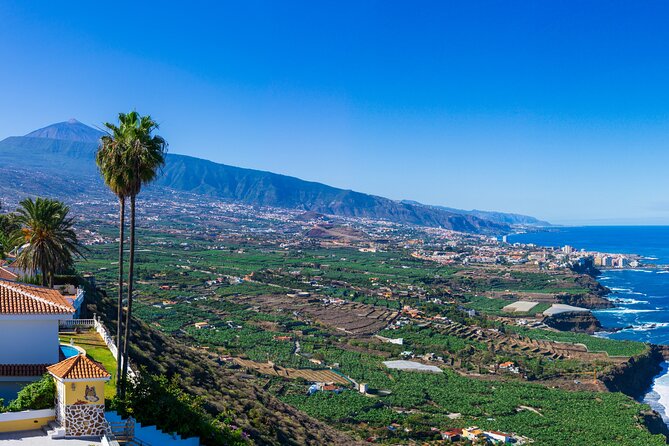 Private nature and culture tour of Teide and northern Tenerife - Why Teide works best with a private guide