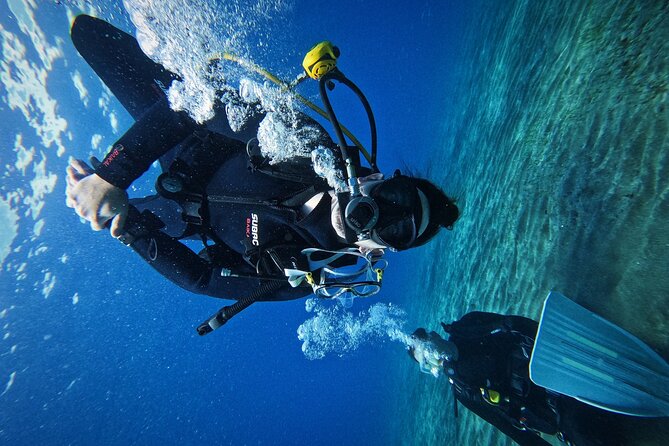 Private Scuba Diving in Tenerife – Certified Instructor & Photos - Thirty minutes among Tenerife’s fish and rays