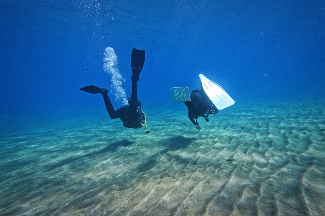 Private Scuba Diving in Tenerife – Certified Instructor & Photos - Photos and videos without an extra charge