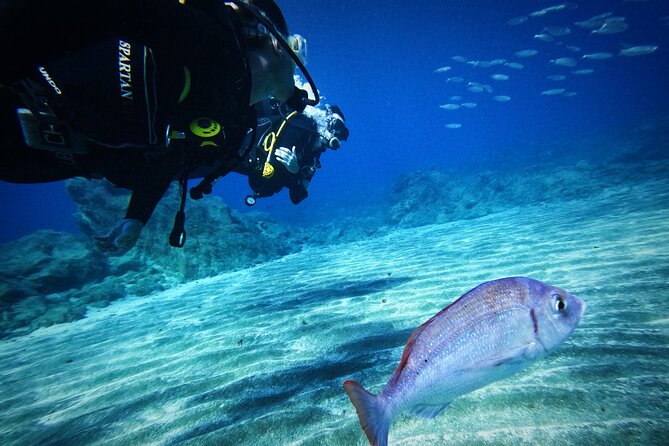 Private Scuba Diving in Tenerife – Certified Instructor & Photos - Practical timing, cancellations, and small details
